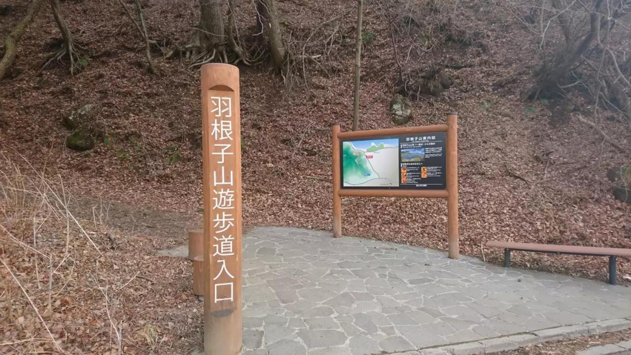 Fuji Cottage Fujikawaguchiko Εξωτερικό φωτογραφία